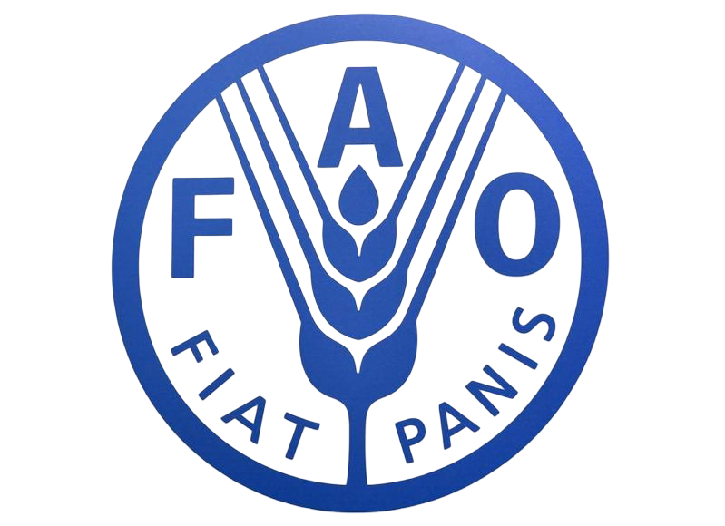 544439_238075_800_auto_jpg